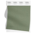 color sample of a shade of green called watercress